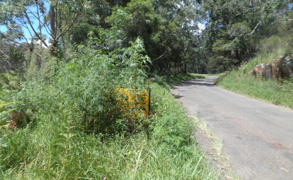 Grass over takes road signs along the narrow and winding Mt Lindesay Rd near Woodenbong.
